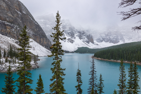 Moraine Lake 