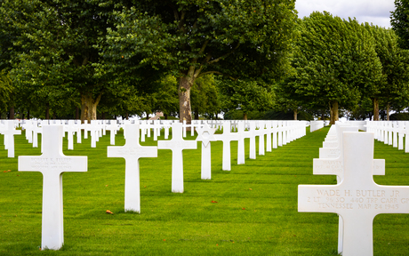 Van verschillende pluimage