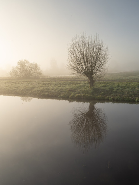Reflectie