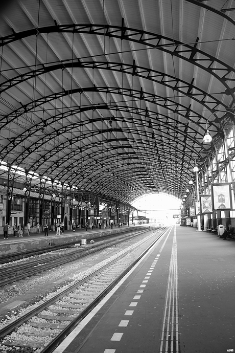 Vertrek uit mooi Haarlem 