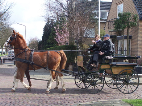 Paard en wagen