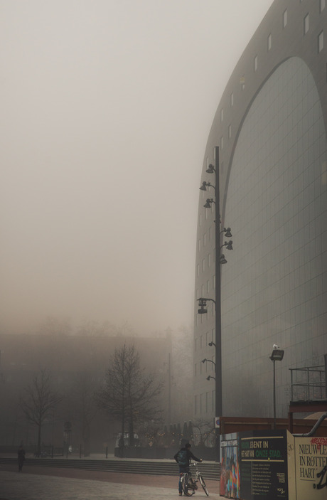 Misty Markthal Roffa