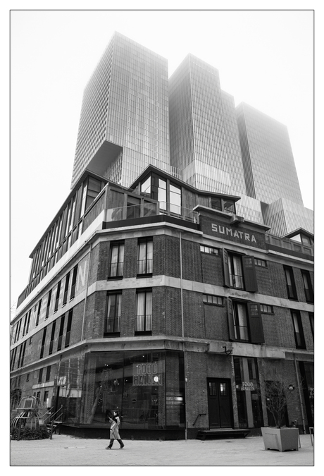 Perspectivistisch Rotterdam