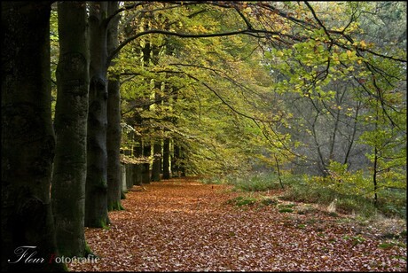 Natuur