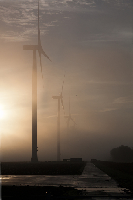 In de mist