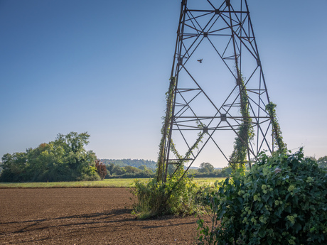Steeds groenere stroom…