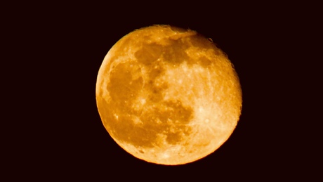 Oranje moon