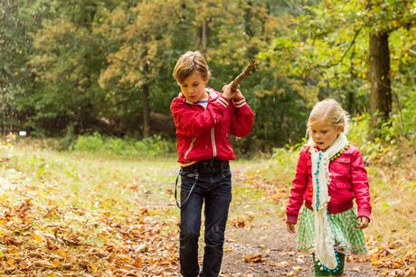 In het bos