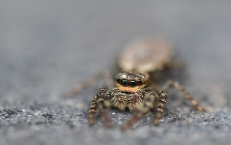 Ik ga nog even door hoor!