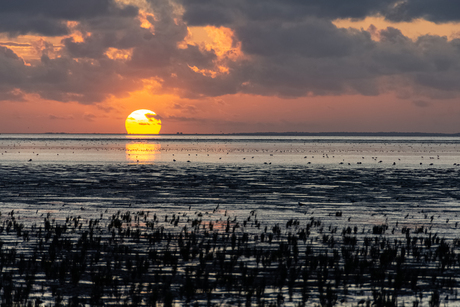 Zonsondergang bij de waddenzee