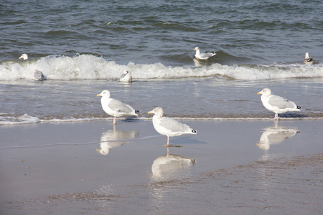 op het strand