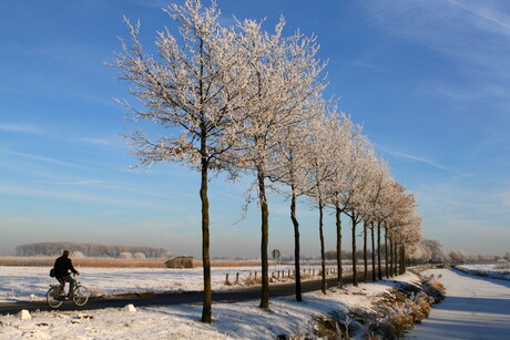 Winterwonderland Elst gld