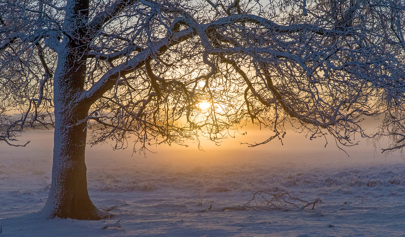 Koude Zonsopkomst - Foto Van Vincentvanthof - Landschap - Zoom.Nl