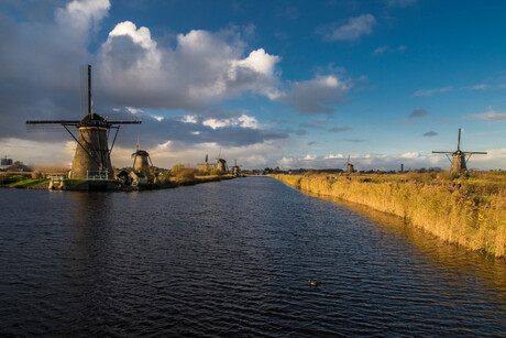 Kinderdijk in november