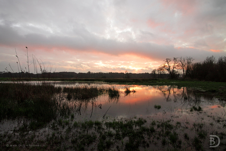 Early Light