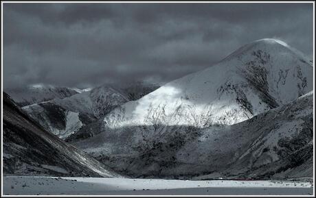 Tibet