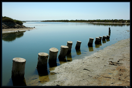 La Camargue 3