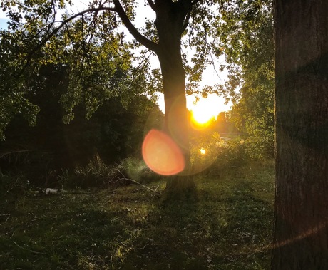 Natuur in Nederland