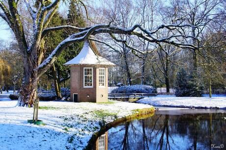 Winter in het Wilhelminapark Meppel 2016