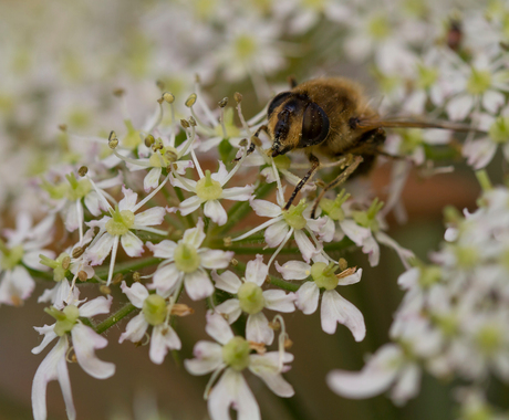 Herfst 2011