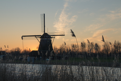 Molen aan de Rotte