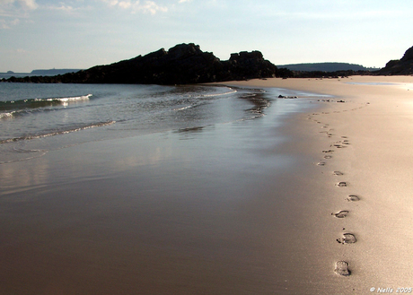 Footsteps in the sand...