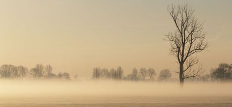 Mist in de polder