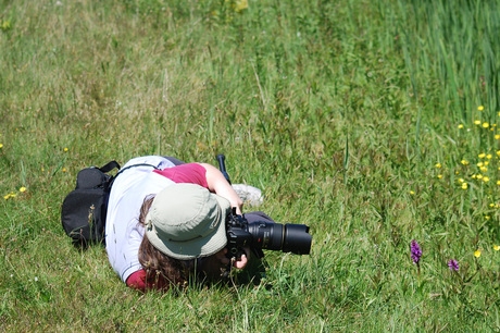 De fotograaf