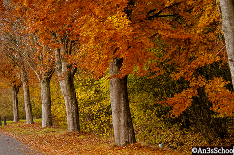 Dag herfst