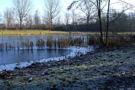 Grienden Ridderkerk