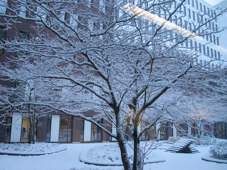 Mijn uitzicht op het werk 