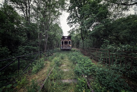 Een oude trein in het bos