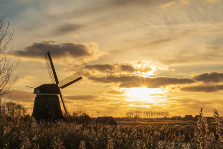 Molen D/Oosterdel,Broek op Langedijk 