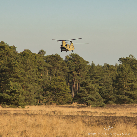 Chinook landing
