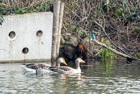 En toen waren er twee