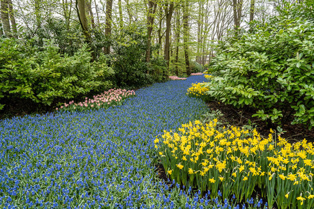 Bleu river foto van Jaap93 Natuur Zoom nl 