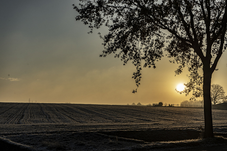 natuur