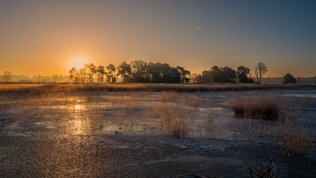 Steenhaarplassen