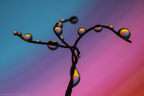 Abstracte druppeltjes