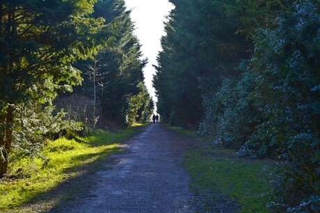 Twee wandelaars in een zonnig Westpark in Groningen.