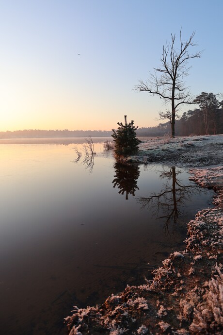 Winterochtend