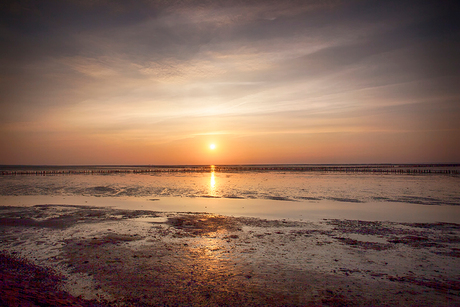 Waddenzee