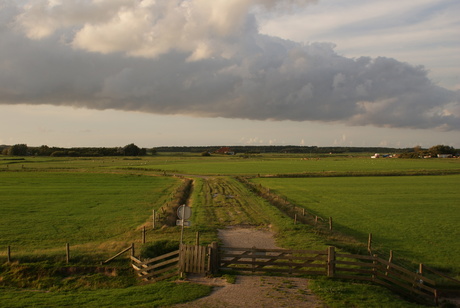 uitzicht over polder