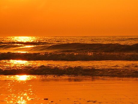 Gouden golven