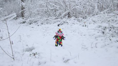 Carnaval in de sneeuw