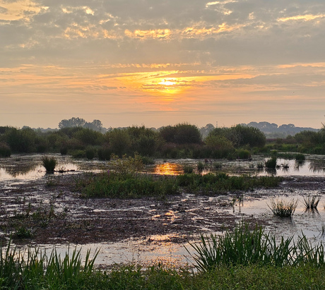 Zonsopkomst Onlanden