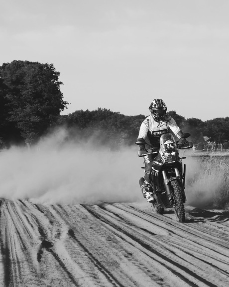 chasing chaos 