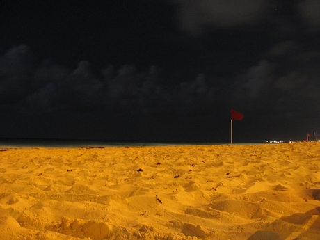 Strandvlag - Cancun bij nacht