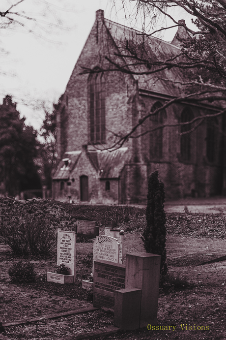 In de schaduw van het gesternte