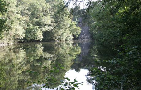 Bois de Cop Choux